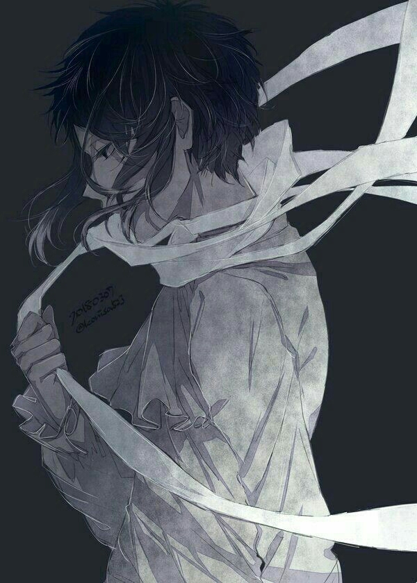 Bungou Stray Dogs