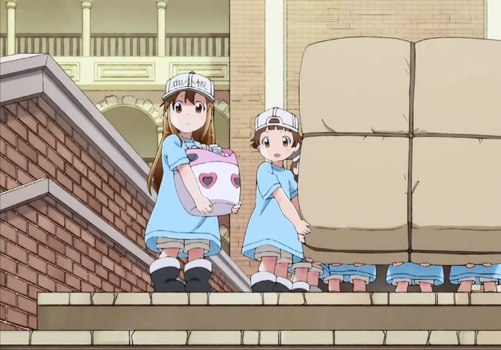 Cells at work !