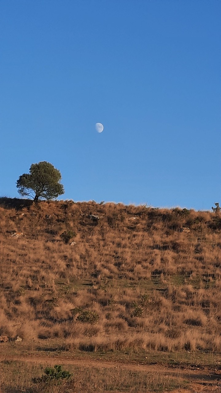 lua