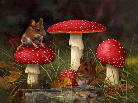 Toadstool