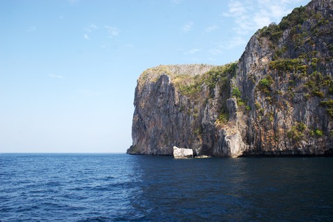 Scenics