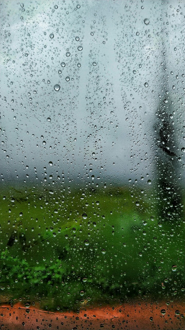 rainy