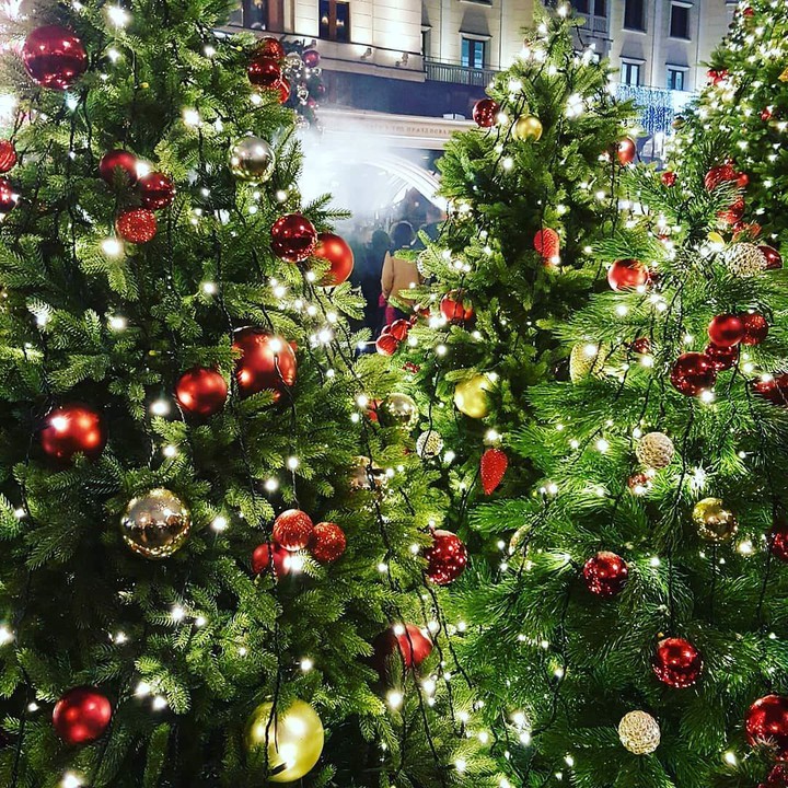 The Christmas tree