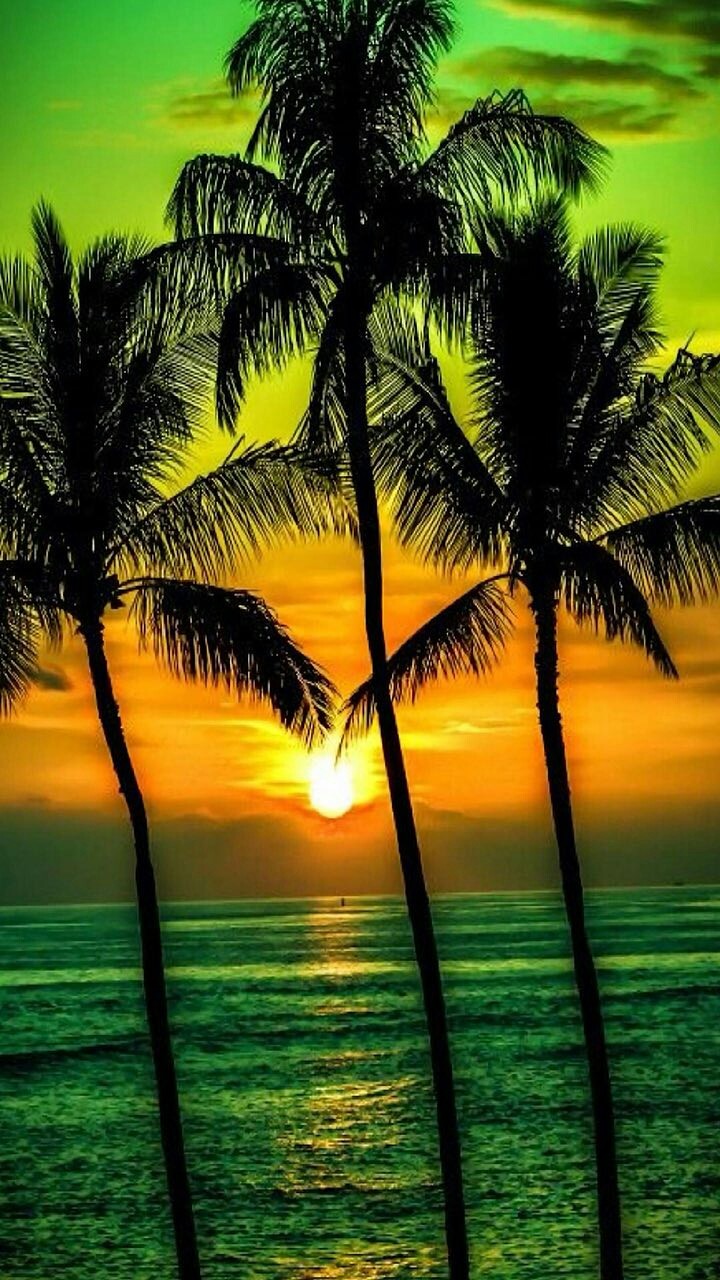 #nature