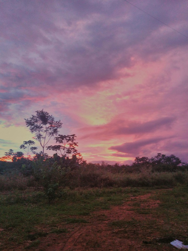 Tarde =)