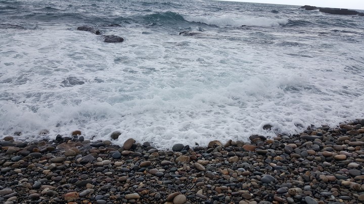 海