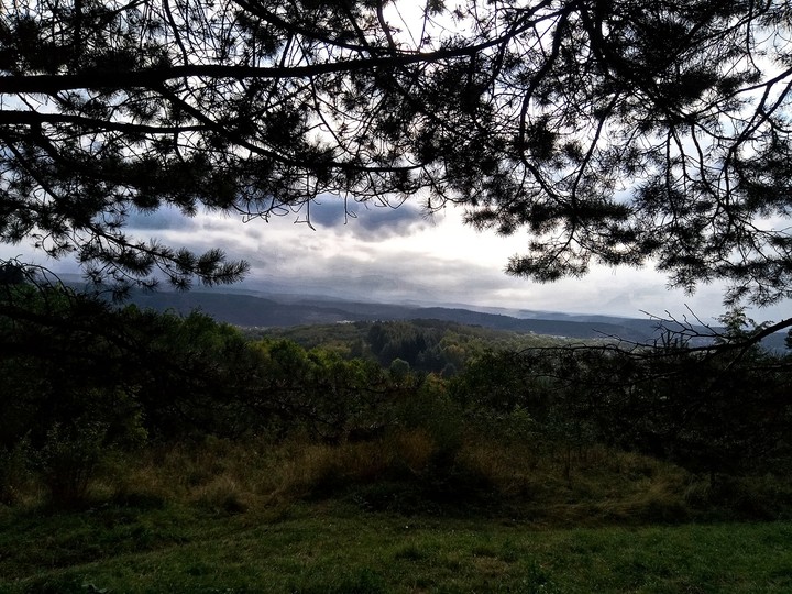 I like nature