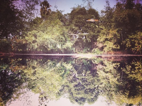 upside down