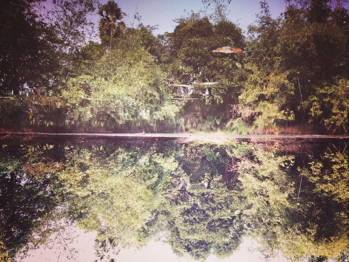 upside down
