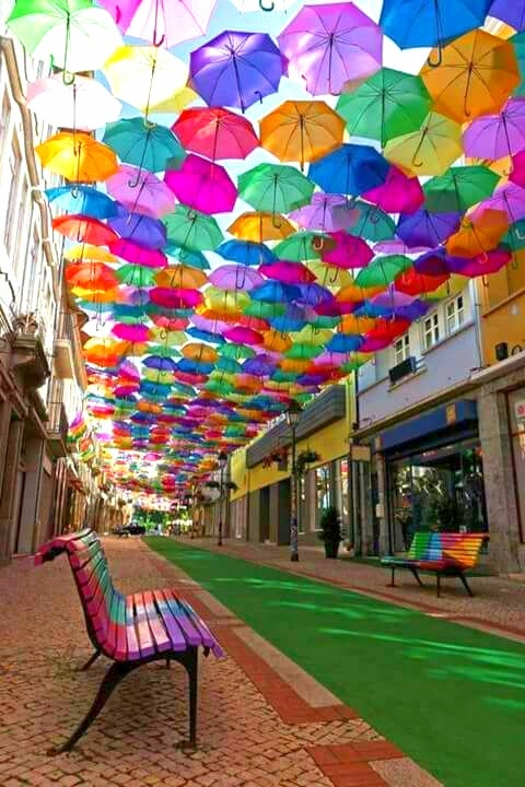 umbrella#skye#colours