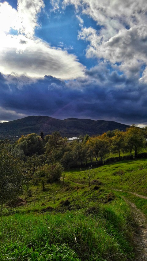 Kosiv town