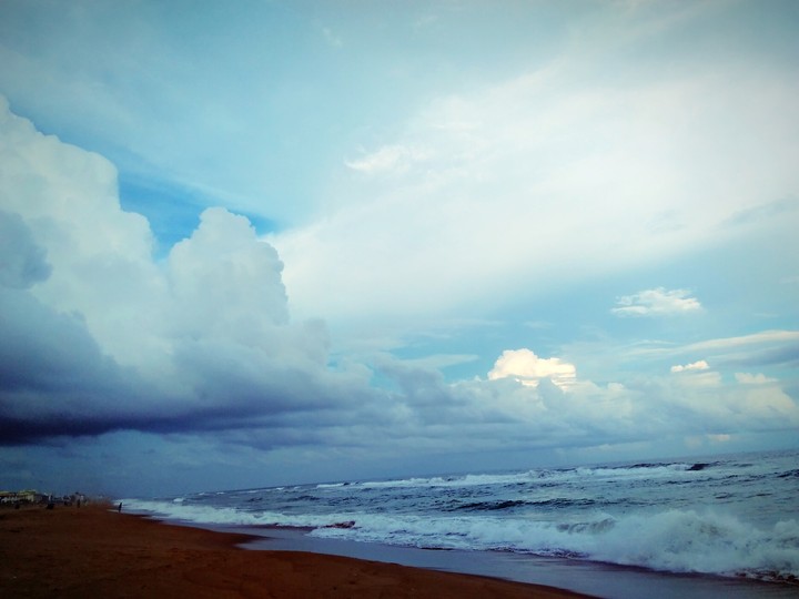 Estuary