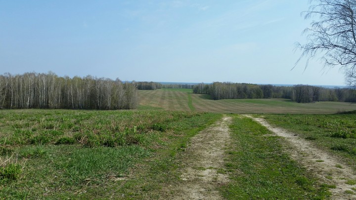 весна