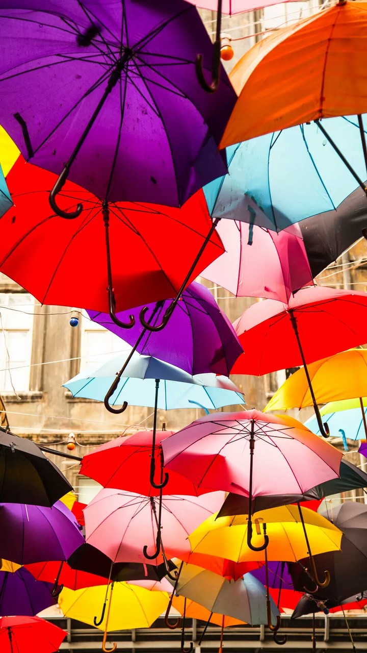 umbrellas