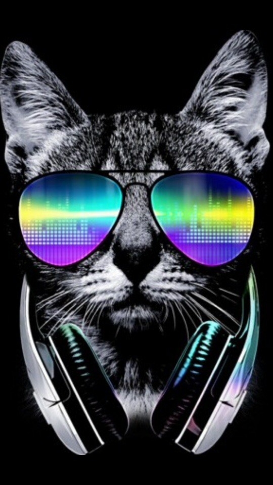 кот