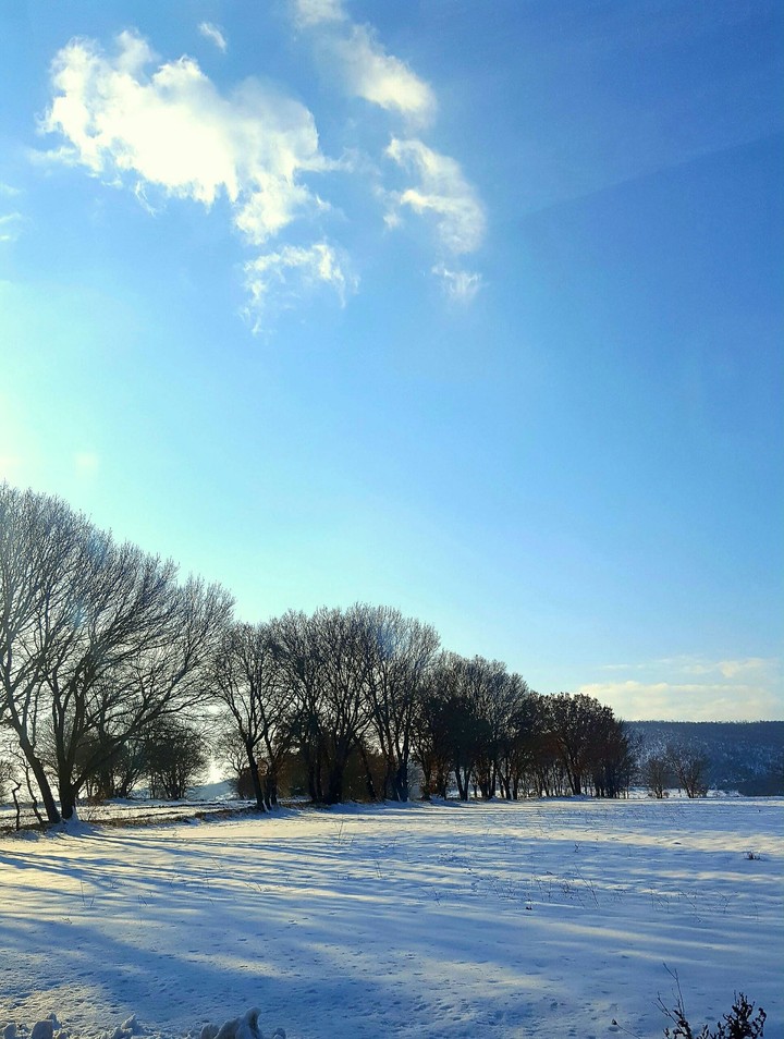 snow / turkey