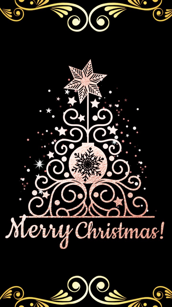 Merry Christmas (๑^ں^๑)
