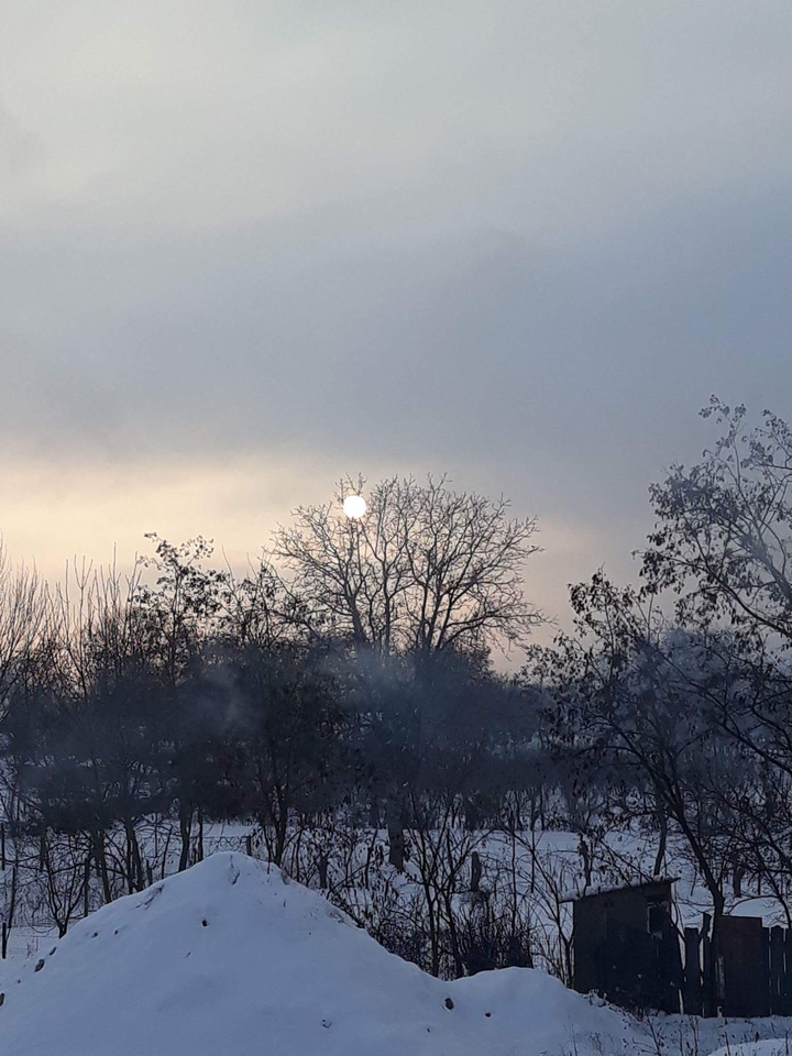 Winter Evening
