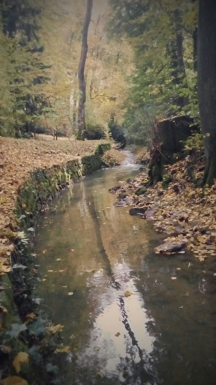 Beautiful fall in Hungary.