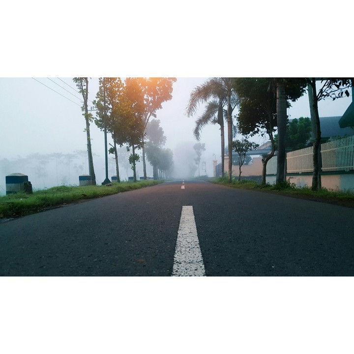 misty road