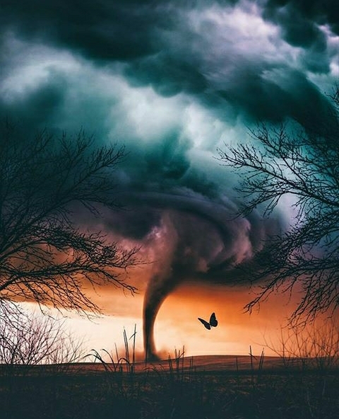 The wind of destruction