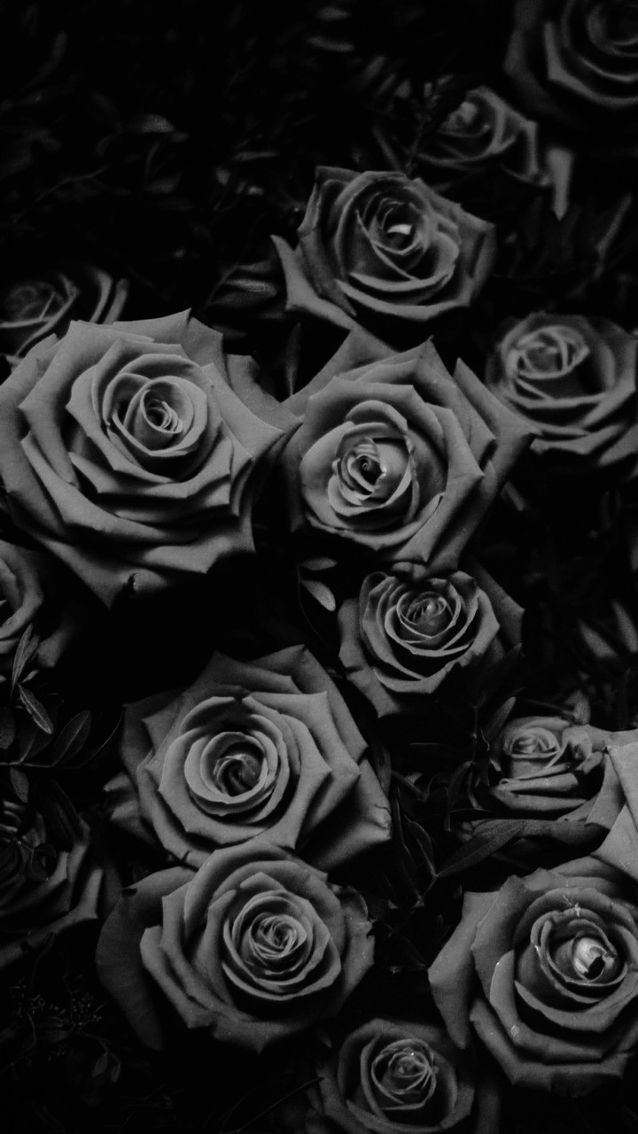 black roses