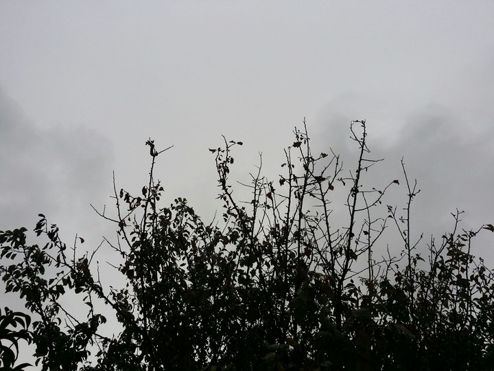 Cloudy day.