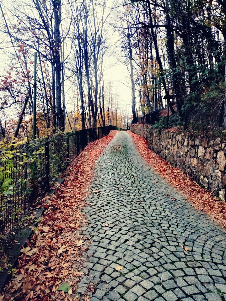 Uzanıp giden bir yol..