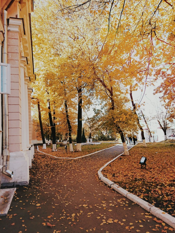 Sunny day in the middle of autumn