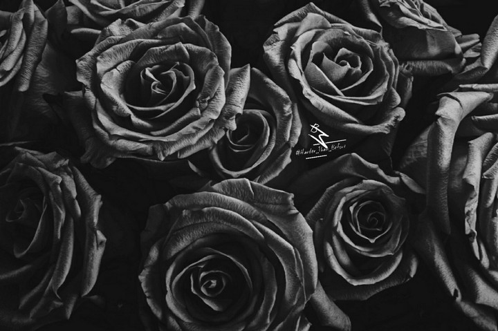 Black Roses