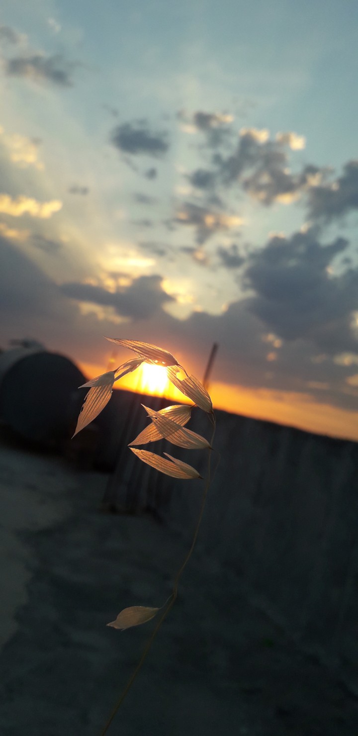 sun rise