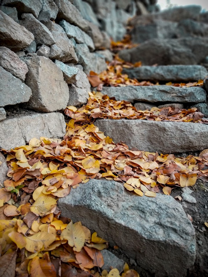 autumn