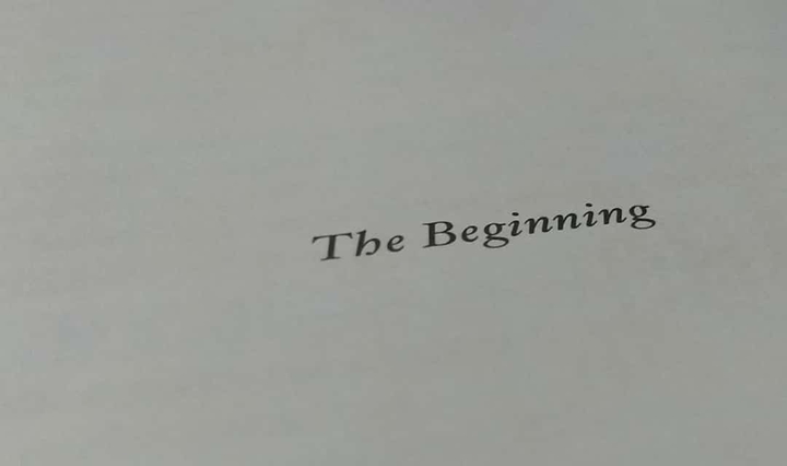THE BEGINNING