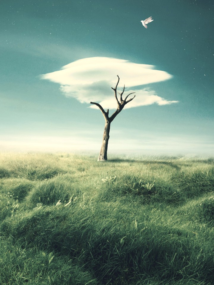 #beautiful wallpaper