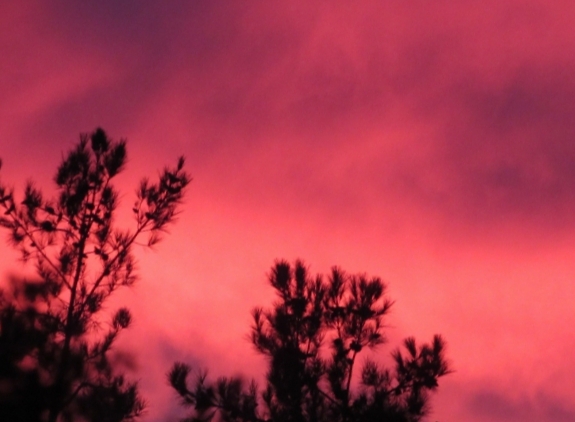 Pink sunset