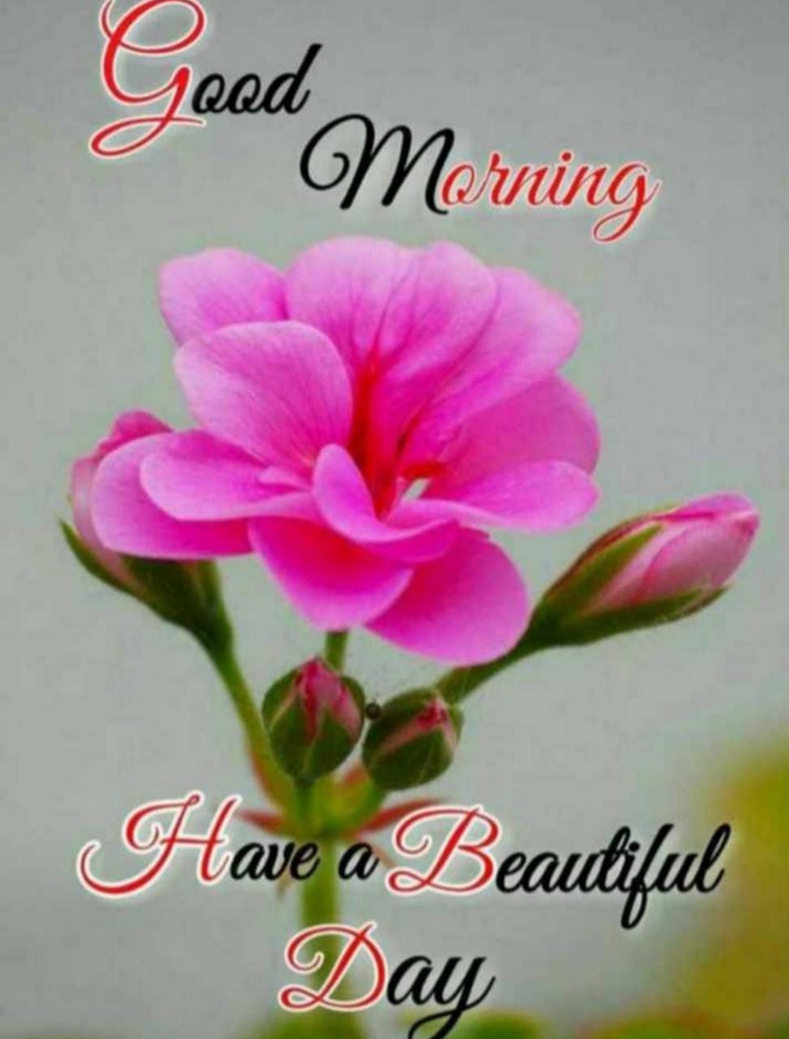 good Morning