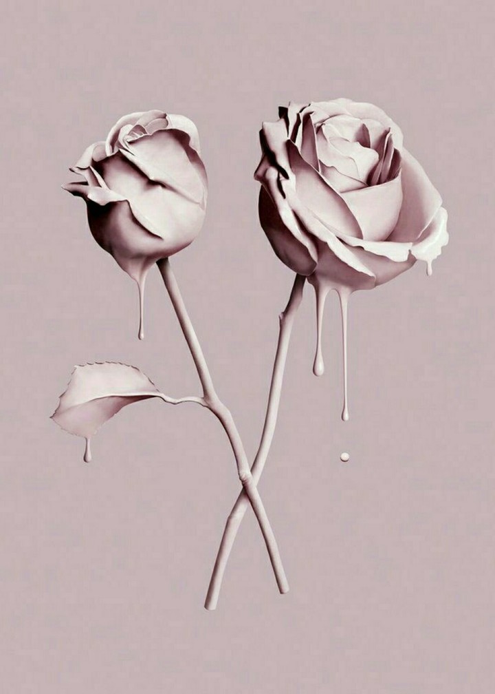 Double rose