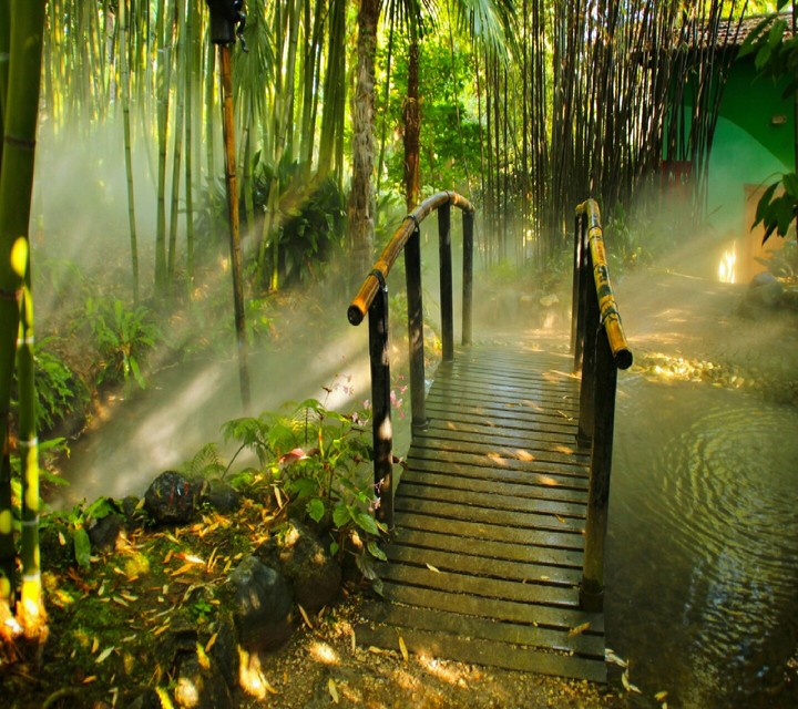 Nature ❤