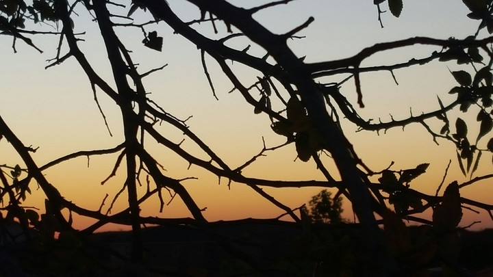 Sunset.