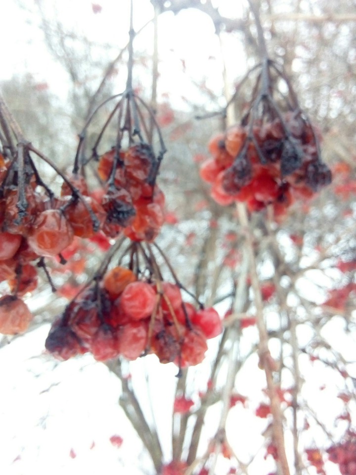nature