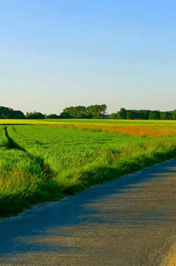 Green Village
