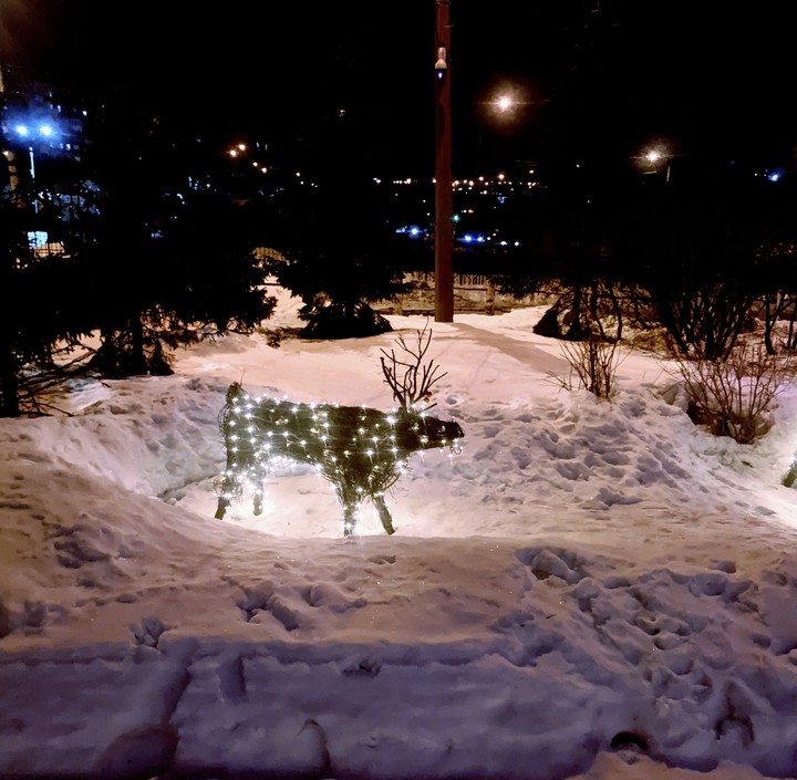 Олень