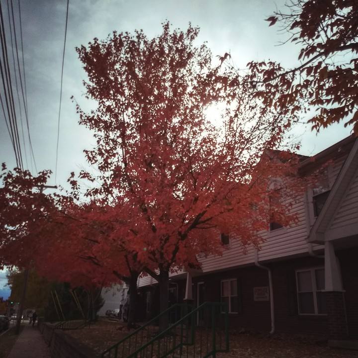 Autumn