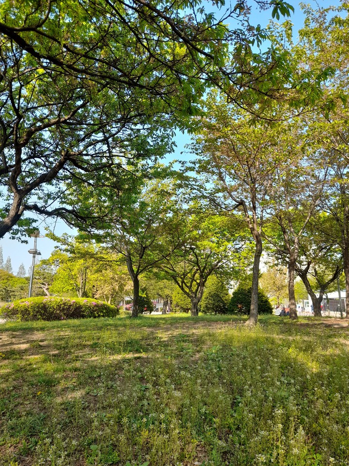at park