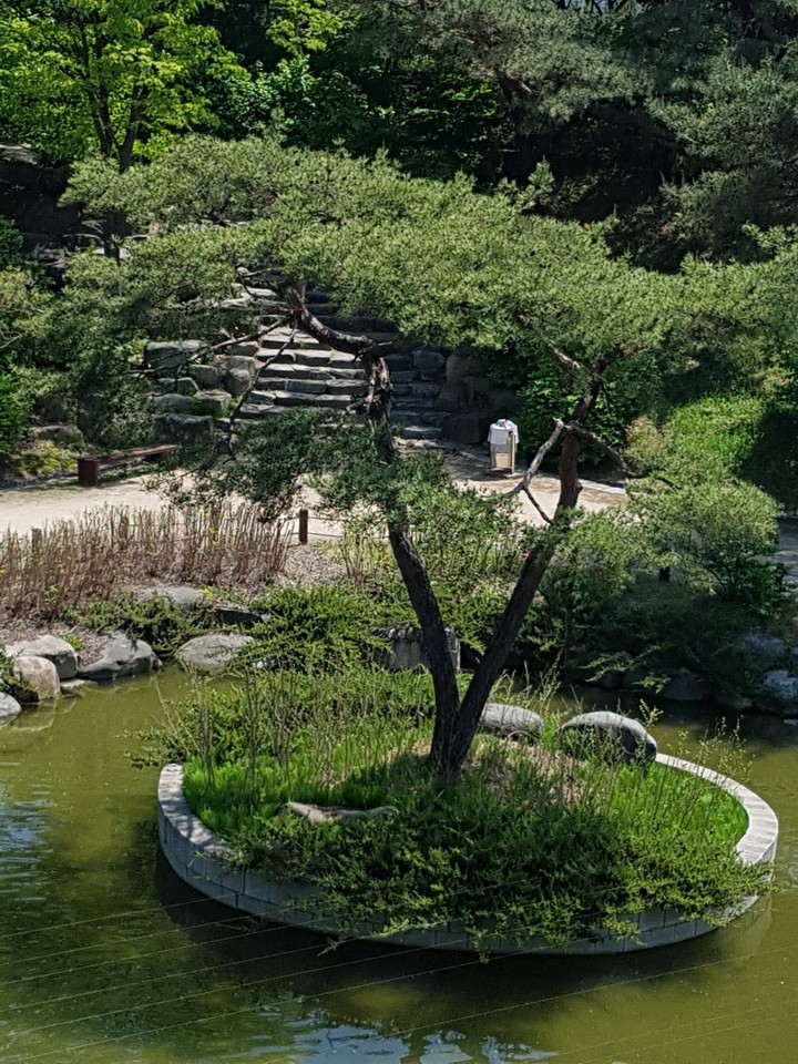 정원~