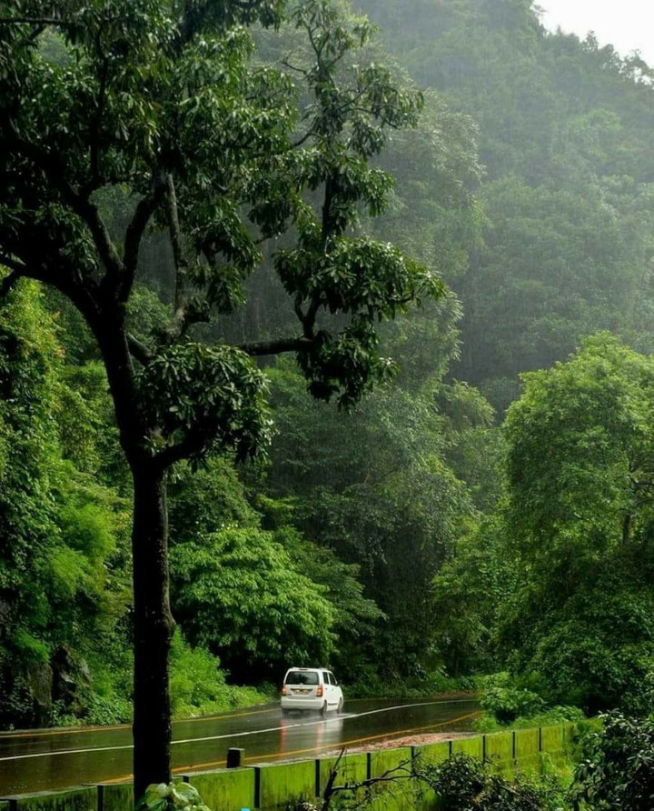 Rainy season