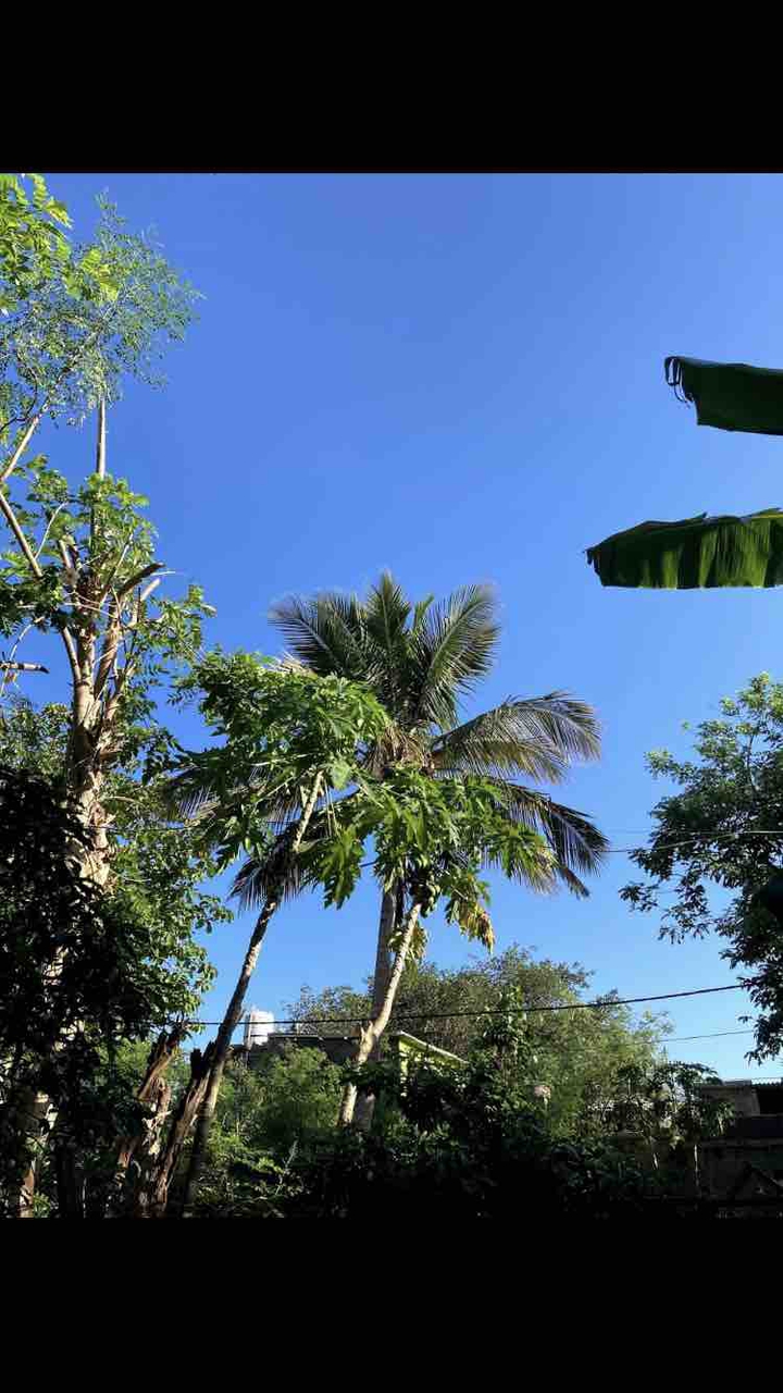 nature unwinded with clear sky