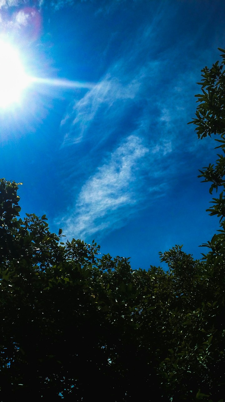 sunny