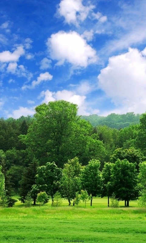 Beautiful Wallpaper