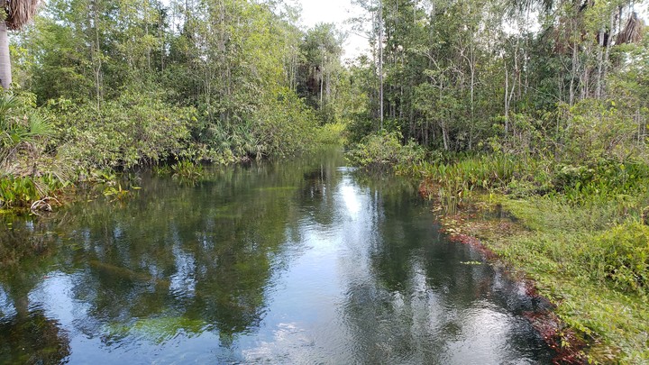 Rio Água limpa, Britânia GO